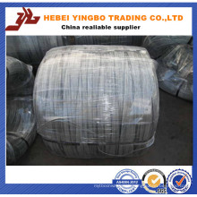 Bwg 12 14 16 18 Hot Dipped / Electric Galvanized Iron Wire Made in China (real factory)